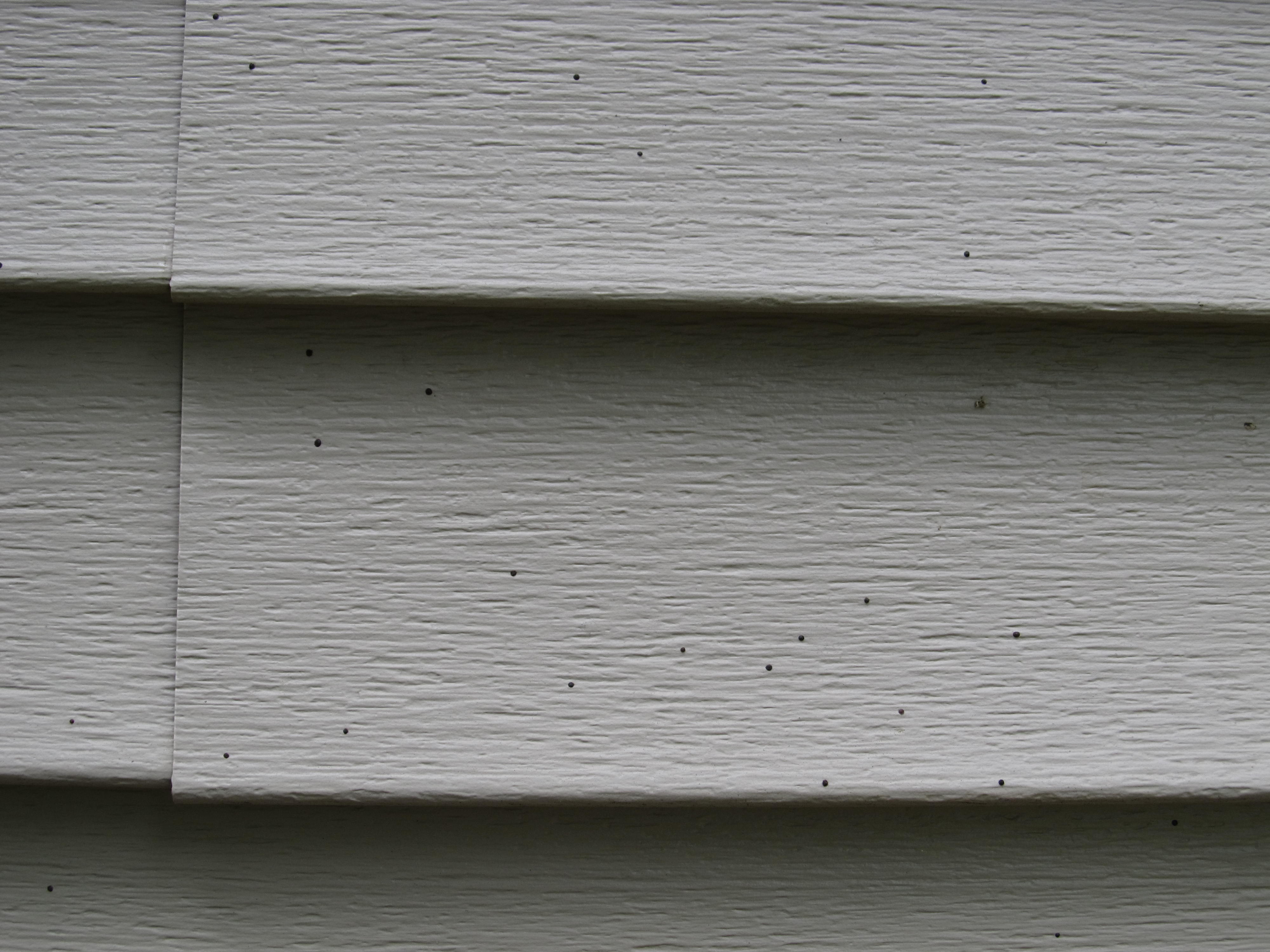 artillery fungus on vinyl siding