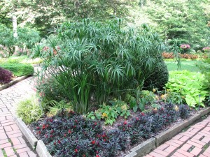 IMG_3426